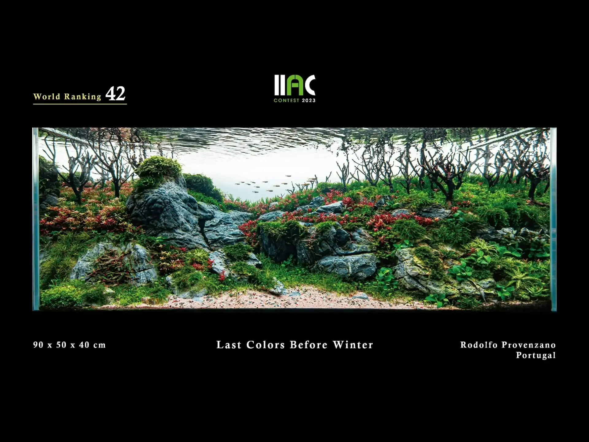 Last Colors Before Winter - IIAC 2023 #42 Rodolfo Provenzano / Portugal